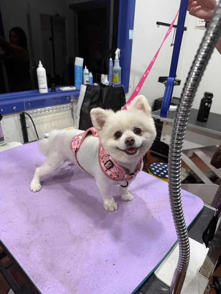 Charlys Pet World business photo