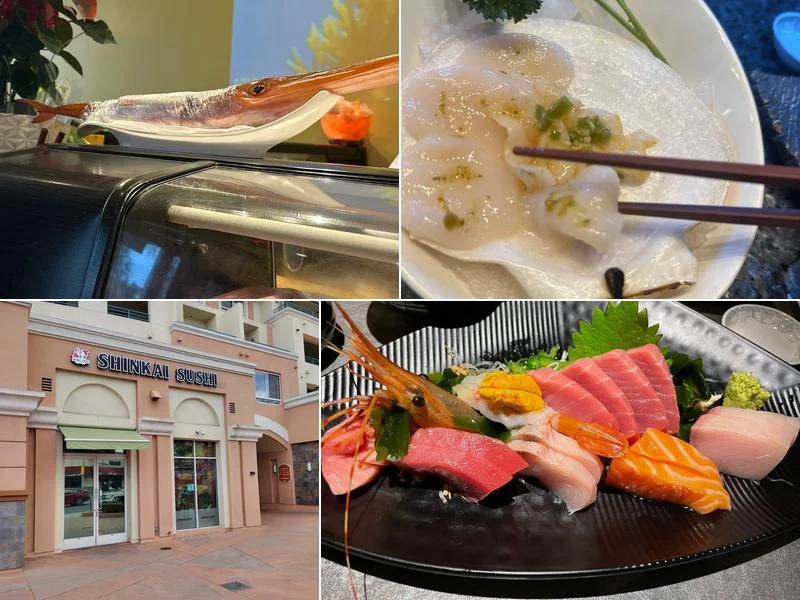 Shinkai Sushi Japanese Fusion business photo