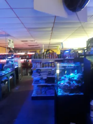 Total Fish and Pets, business photo 1