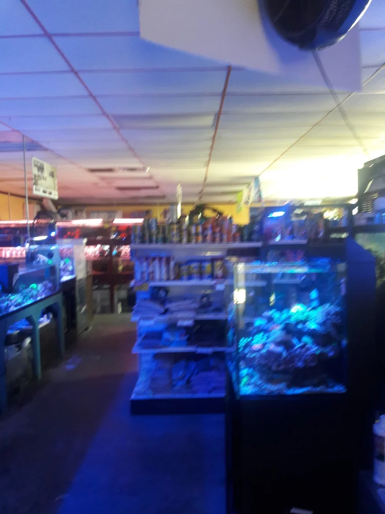 Total Fish and Pets business photo